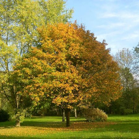 Le Grand Pre Bed and Breakfast Daillancourt Exteriör bild