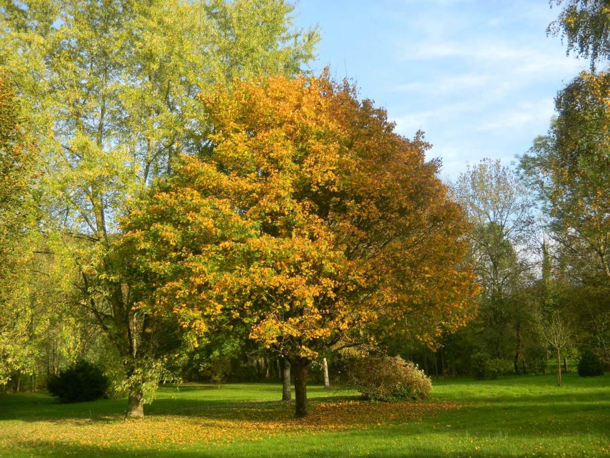 Le Grand Pre Bed and Breakfast Daillancourt Exteriör bild