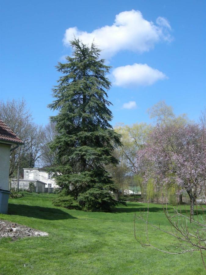 Le Grand Pre Bed and Breakfast Daillancourt Exteriör bild